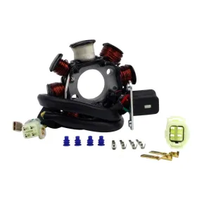 Stator KTM 200 250 300 EXC 200 300 XC 300 MXC 2005-2012 OEM 54839204000