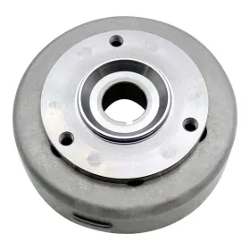 Volant Magnétique Rotor SkiDoo MXZ MXZX Summit 500 600 700 800 OEM 410922953