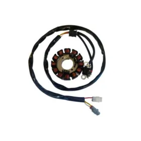 Alternateur Stator Yamaha WR250F WR450F OEM 5UM-81410-00 5UM-81410-09 5UM-81410-10 5UM-81410-20 5UM-81410-31