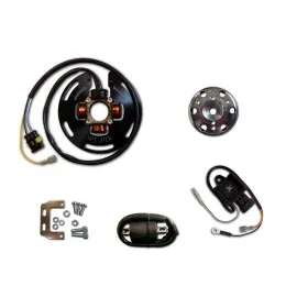 Allumage Eclairage Stator Rotor Boitier CDI 2 Courbes Bobine Yamaha IT175