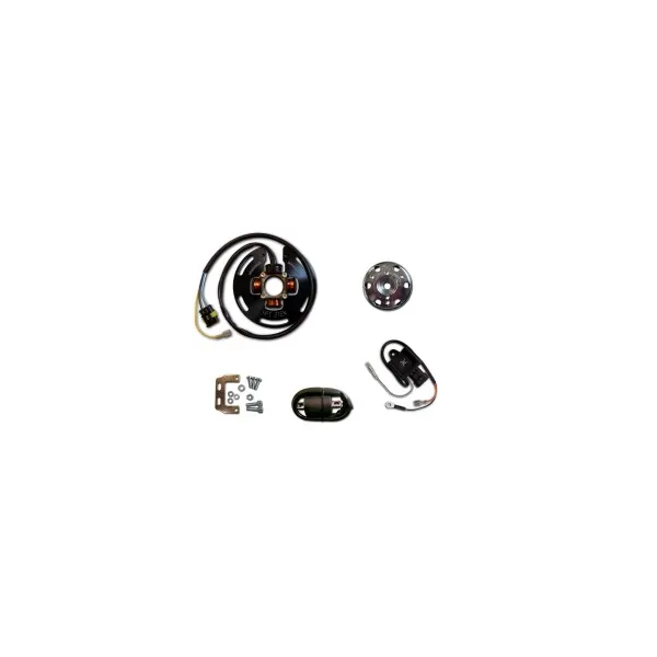Allumage Eclairage Stator Rotor Boitier CDI 2 Courbes Bobine Yamaha IT175