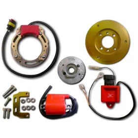 Allumage Stator Rotor CDI Bobine Suzuki TR50 Street Magic 1998-2000