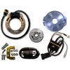 Kit Allumage Stator Rotor Bobine Boitier CDI 2 Courbes Honda CR500R