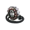 Stator SkiDoo Expedition Renegade Summit 600 HO 800 R Lynx Rave Xtrim 600 800 R OEM 420665431 420665432 420665433 420665435