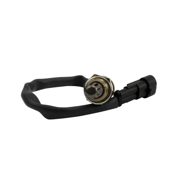 Capteur Oxygène Harley Davidson Electra Glide Road King 1584 Sportster 883 1200 OEM 27719-07 27690-08