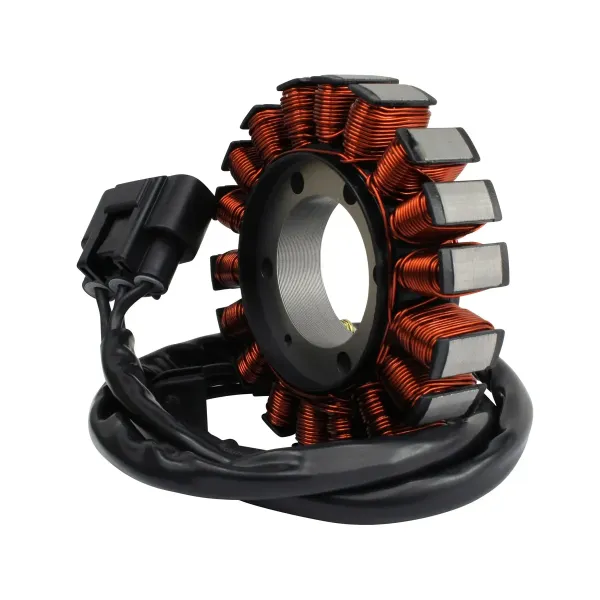 Stator BMW S1000XR OEM 12318404476 12315B35B36