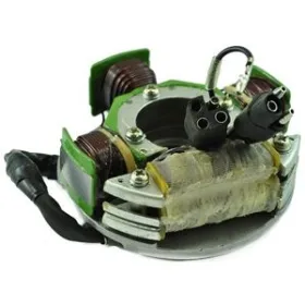Stator Allumage Arctic Cat Bearcat Puma ZR Lynx El Tigre Wildcat Panther Cheetah Cougar Jag Pantera