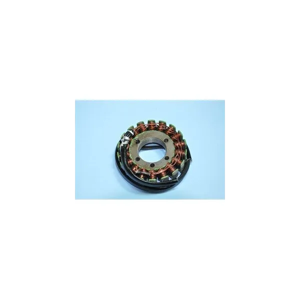 Stator-Yamaha-YZF600R 