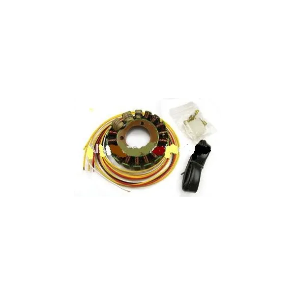 Stator-Kawasaki-KR250