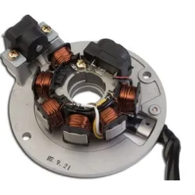 Allumage Stator Aprilia Amico SR50 Fantic Big Wheel Italjet Ascout Bazooka Pista Reporter Scoop Yankee