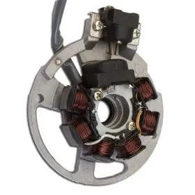 Allumage Stator Aprilia-Area-Gulliver-Rally-Sonic-SR 50-Benelli-491-K2-Beta-Ark-Eikon