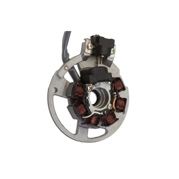 Allumage Stator Aprilia-Area-Gulliver-Rally-Sonic-SR 50-Benelli-491-K2-Beta-Ark-Eikon