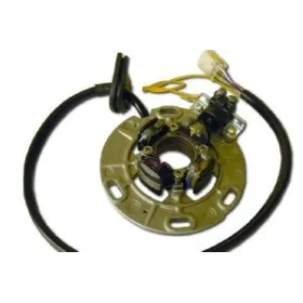 Stator Allumage Eclairage Yamaha YZ250