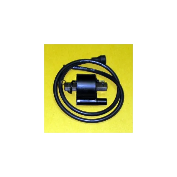 Bobine Allumage Externe Polaris Sportsman 400