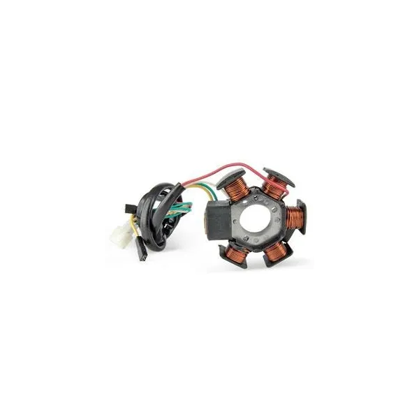 Stator Gilera GSM H@K-RCR 50-SMT 50-Husqvarna-CH Racing-Fantic-Caballero-Malaguti-Drakon naked-XSM 50-XTM 50
