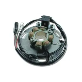 Stator Allumage Suzuki RM125 RM250