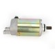 Starter Motor-Triumph-TT600