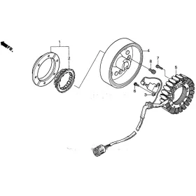 Stator Honda TRX450 Foreman ES 31120-HM7-014