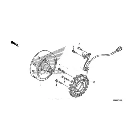 Volant Magnétique Rotor Honda TRX680FA Fourtrax Rincon 31110-HN8-A61