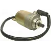 Starter Motor-Polaris-200 Phoenix