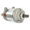 Starter Motor-Honda-TRX250EX Sportrax-TRX250X
