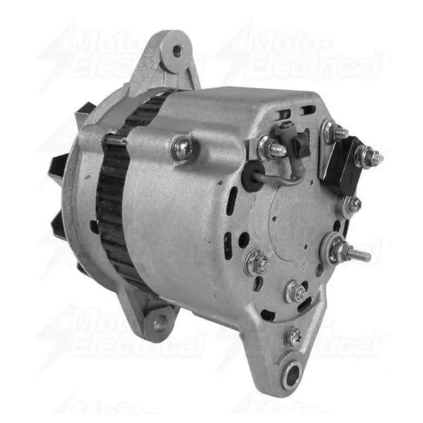 Alternateur Yanmar Marine 1GM 2GM 2QM15 2QM20 3GM 3HM