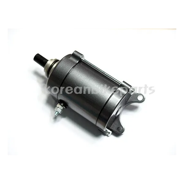  Starter Motor-Daelim-Roadwin-VJ125-VJ150