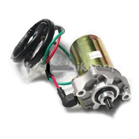 Starter Motor-Daelim-SH100