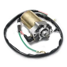 Starter Motor-Daelim-SH100