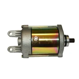Démarreur Daelim SQ250 S2 250