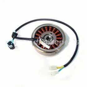 Allumage Stator Rotor Hyosung GT650 GT650R GV650