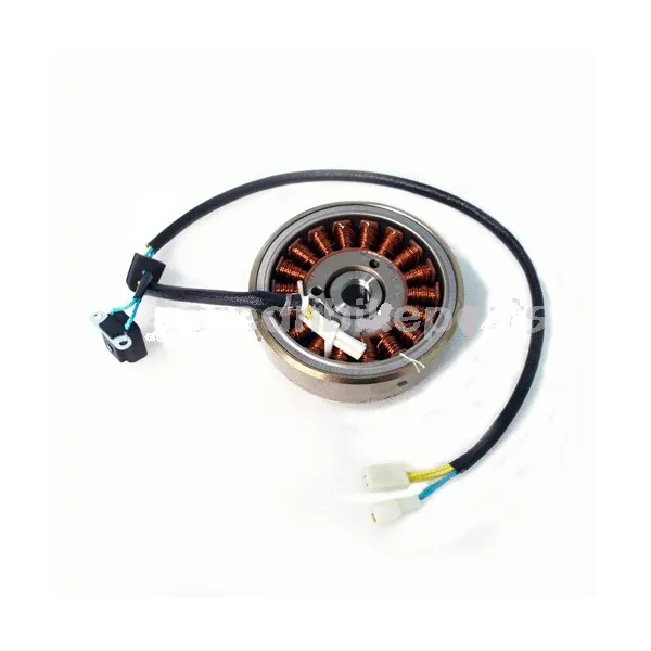 Allumage Stator Rotor Hyosung GT650 GT650R GV650