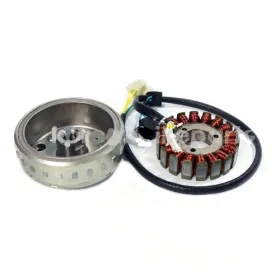 Alternateur Stator Rotor Hyosung GT650 GT650R GT650S GV650 32100HP9301 32100HP9330