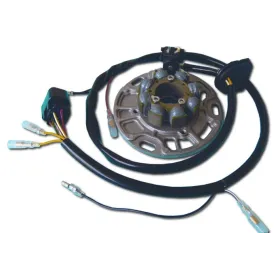 Stator-Kawasaki-KX125