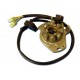 Stator-Honda-CR250