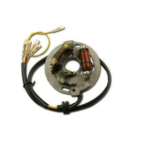Stator Allumage Eclairage Kawasaki KX500