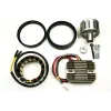 Allumage Stator Alternateur Régulateur Bosch Moto Guzzi