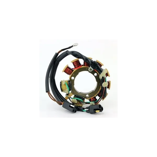 Stator Allumage Arctic Cat EXT580 EFI EXT580 Mountain Cat Pantera 440 580 Wildcat 700 ZR580 EFI