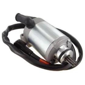 Starter Motor-CanAm-Rally 200