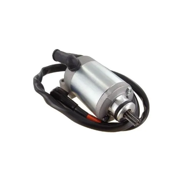Starter Motor-CanAm-Rally 200