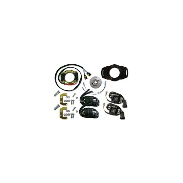 Allumage Stator Rotor Boitier CDI Bobine Yamaha TZ500 