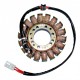 Stator-Triumph-Daytona 955i