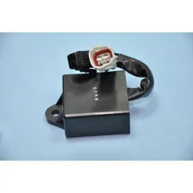 CDI-Yamaha-250 Timberwolf-250 Bear Tracker