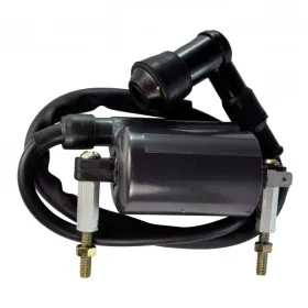 Bobine HT-Kawasaki-300 Bayou