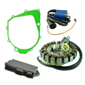 Ignition-Stator-Cover Gasket-CDI-Ignition Coil-Yamaha-350 Raptor-350 Warrior
