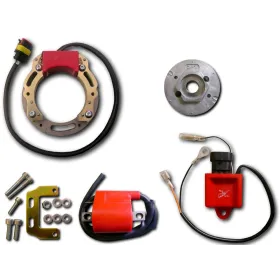  Stator-Rotor-Bobine HT-CDI-Aprilia-AF1 125-Pegaso 125-Red Rose 125-RS125-RX125-Tuareg 125