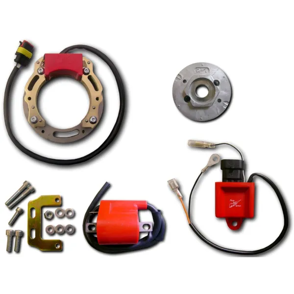  Stator-Rotor-Ignition Coil-CDI-Aprilia-AF1 125-Pegaso 125-Red Rose 125-RS125-RX125-Tuareg 125