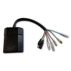 CDI-GasGas-EC300-Wild HP300