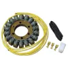 Alternateur Stator Allumage Honda RVF400R CB500 CBF500