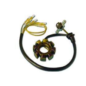 Stator Allumage Honda CRF450R